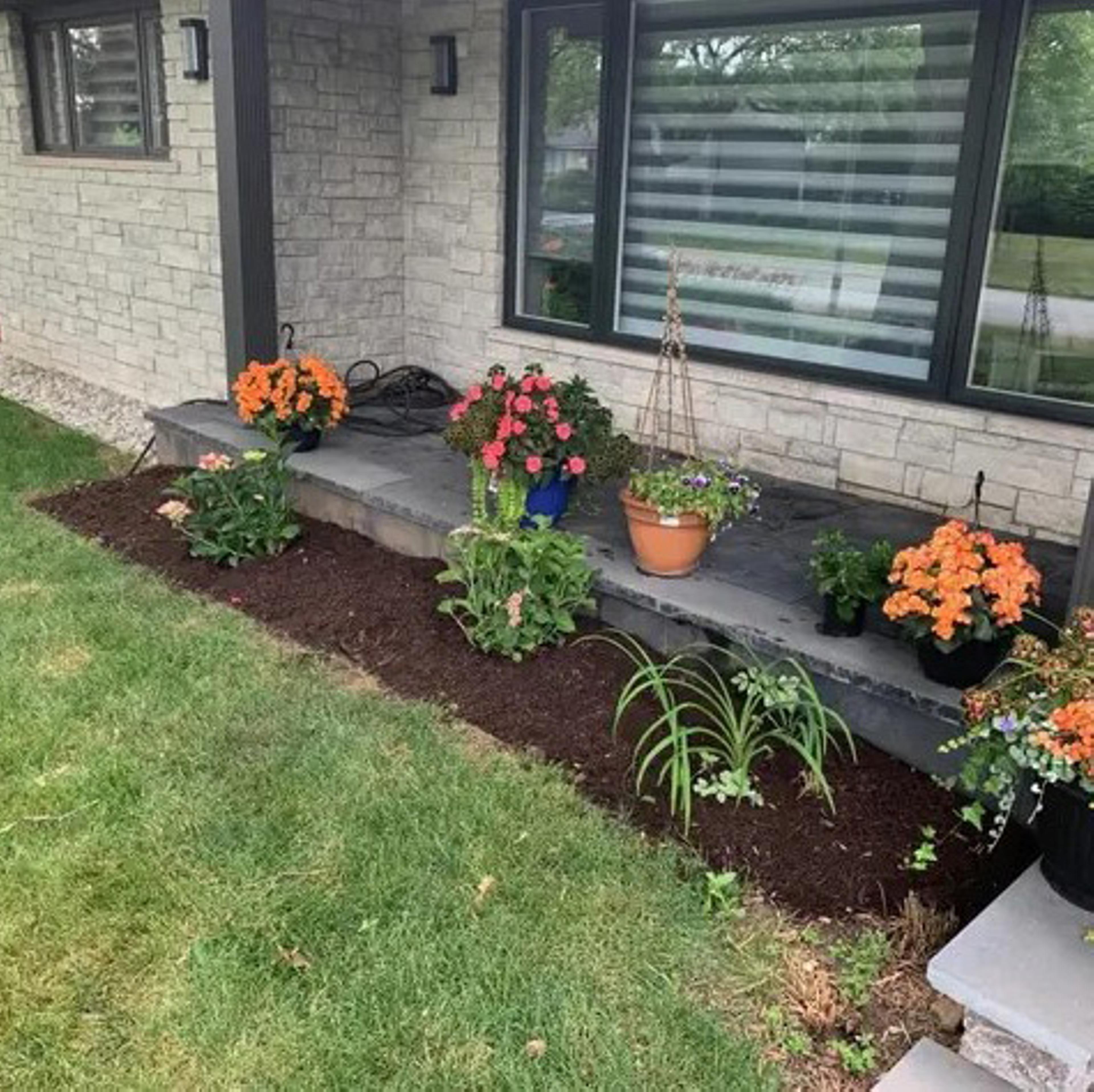 Freshly trimmed bushes in front of house