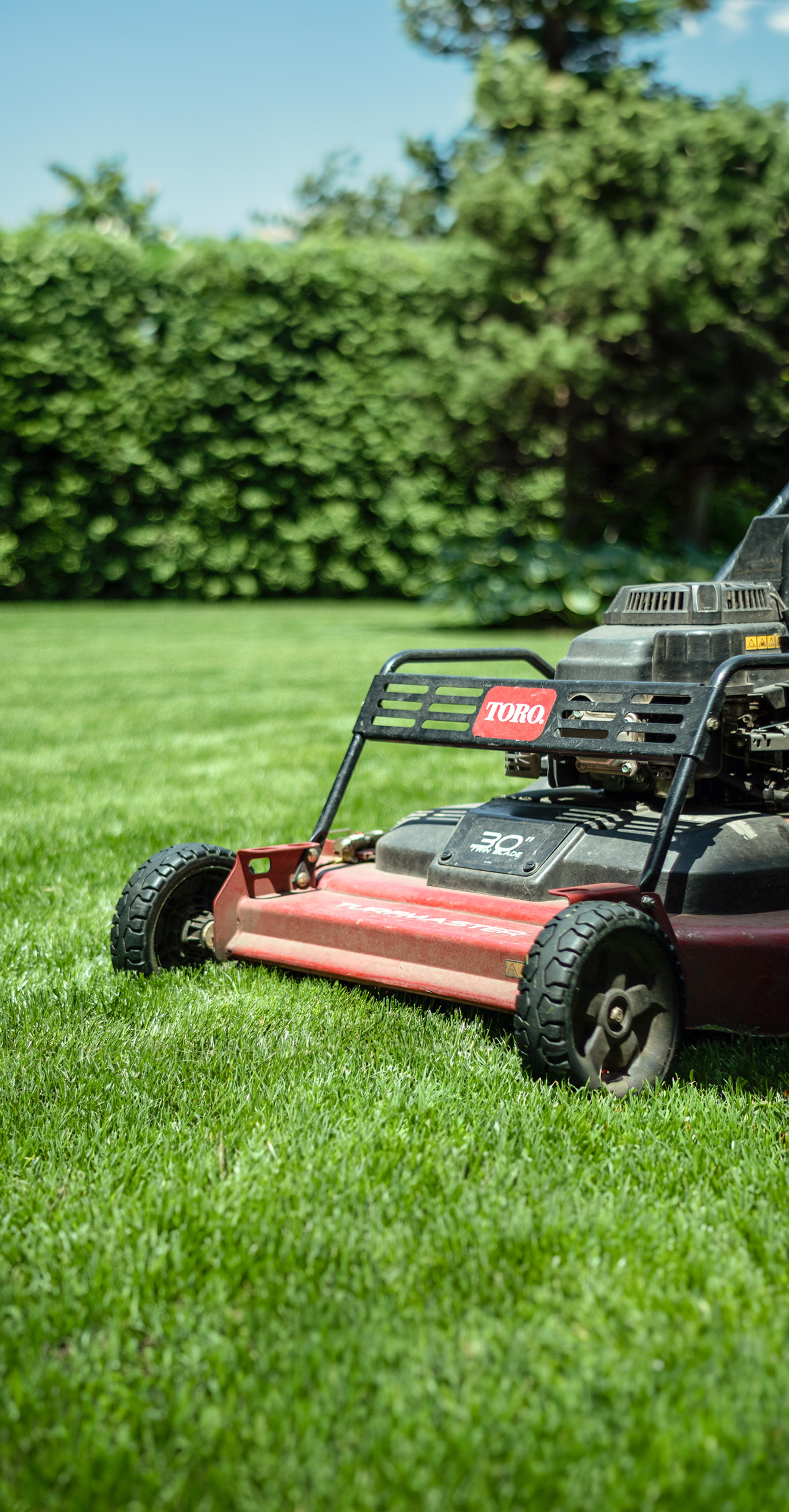 Lawn mowing maintenance in progress