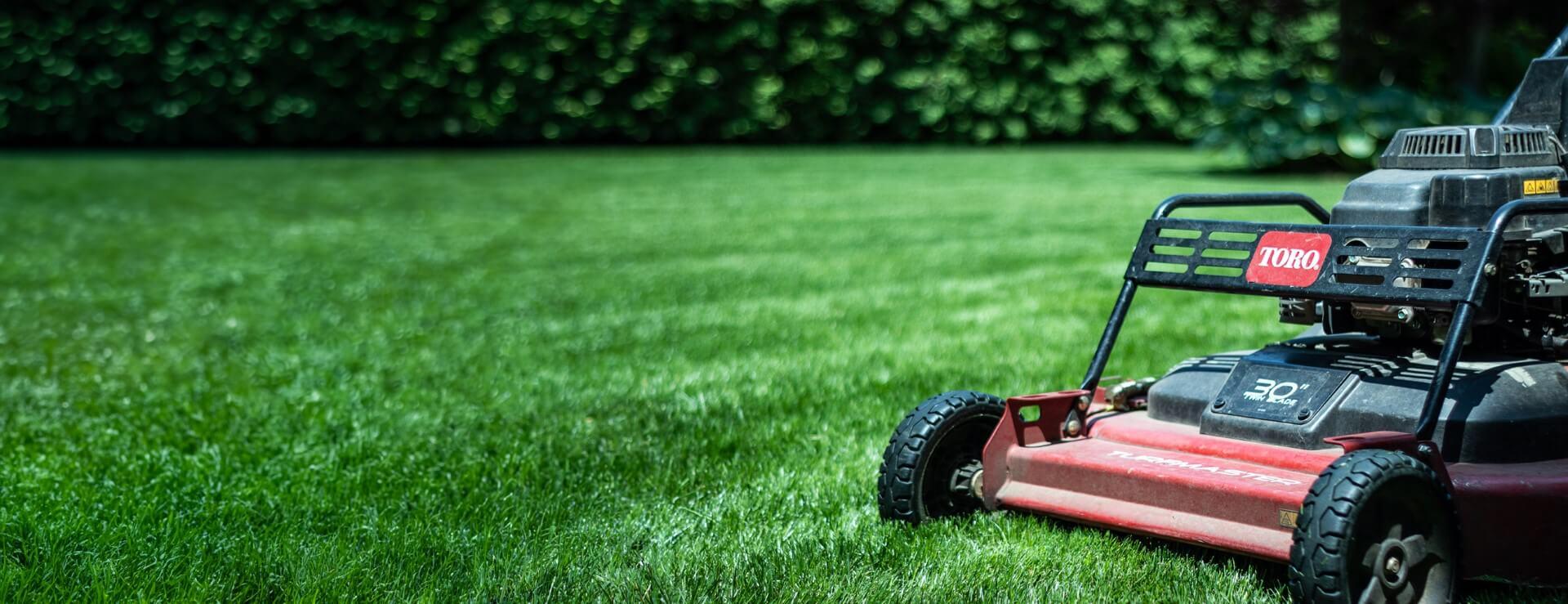 Lawn mower on lawn