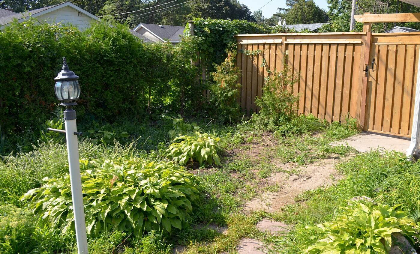 Before and after of weeds removed from garden - After